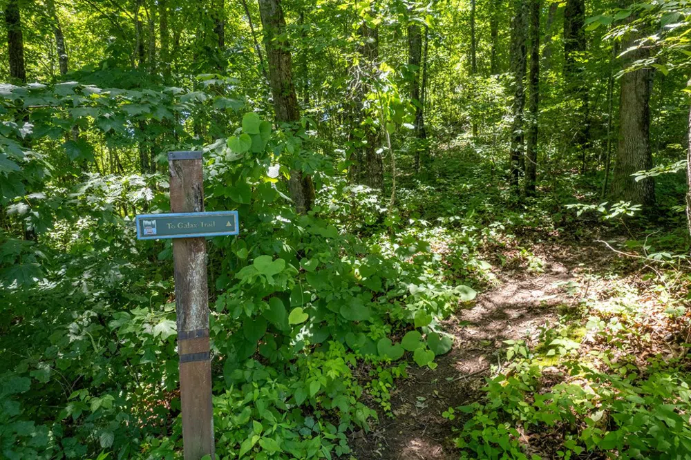 Nannyberry Lane Tuckasegee, NC 28783