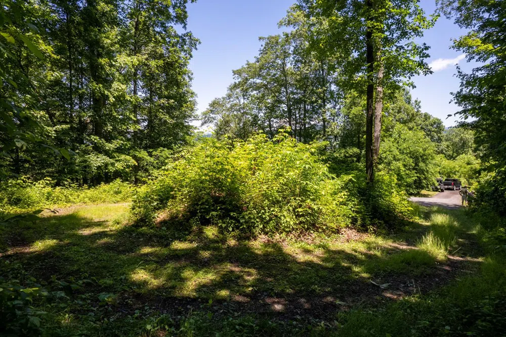Nannyberry Lane Tuckasegee, NC 28783