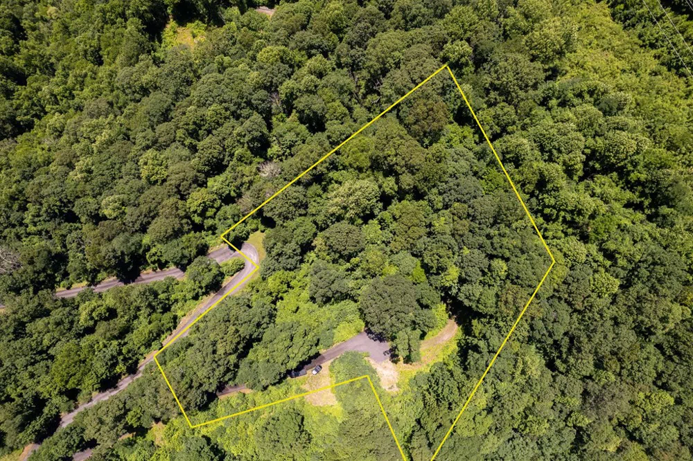 Nannyberry Lane Tuckasegee, NC 28783