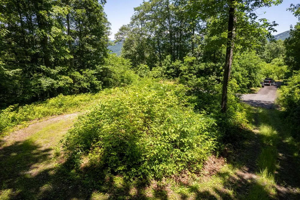 Nannyberry Lane Tuckasegee, NC 28783