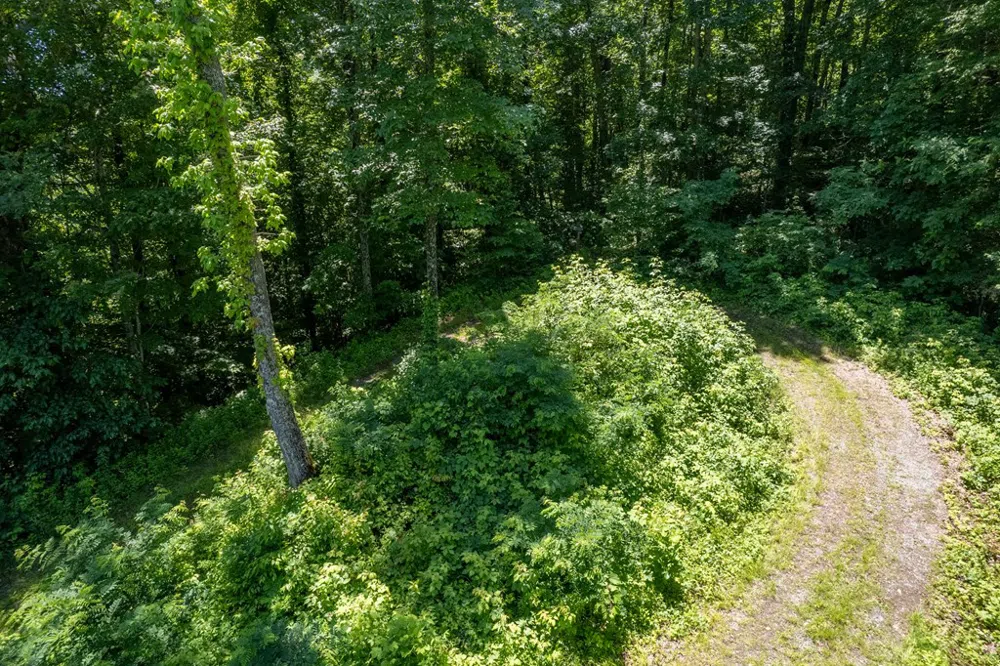 Nannyberry Lane Tuckasegee, NC 28783