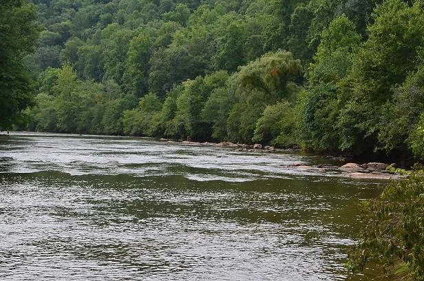 Nannyberry Lane Tuckasegee, NC 28783