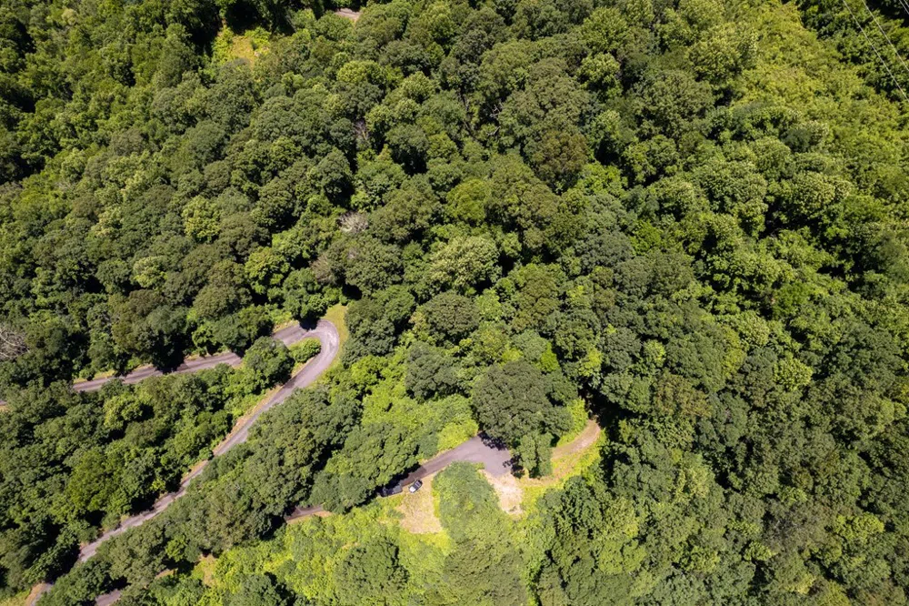 Nannyberry Lane Tuckasegee, NC 28783