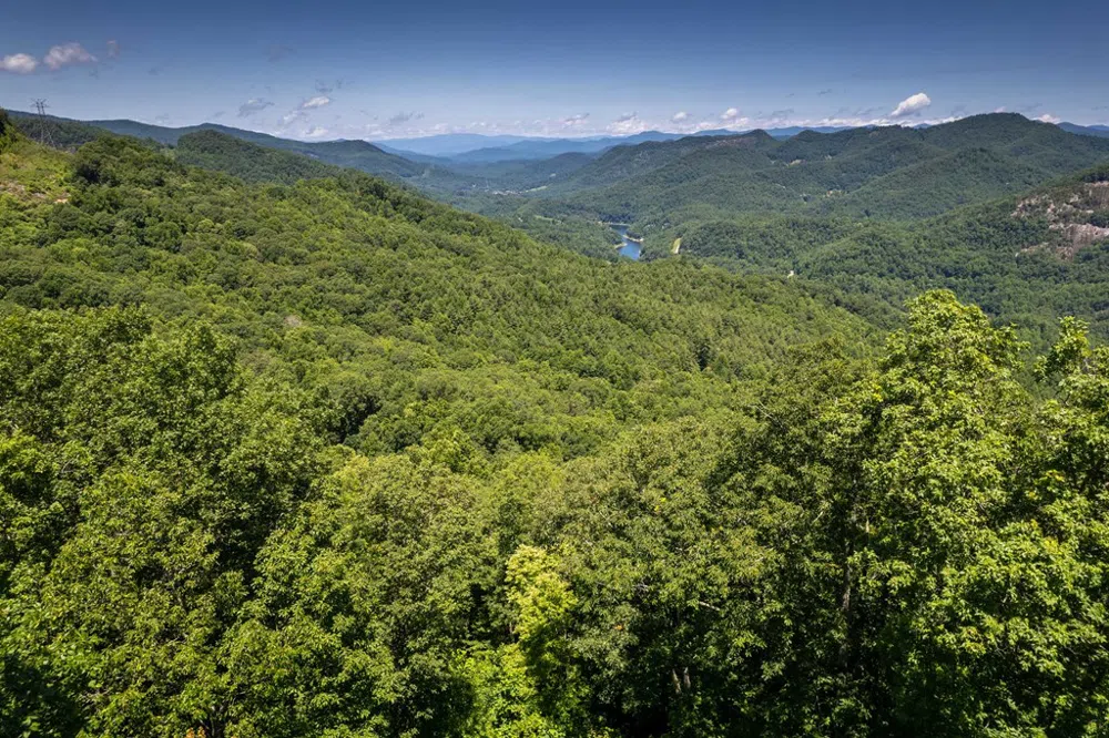 Nannyberry Lane Tuckasegee, NC 28783