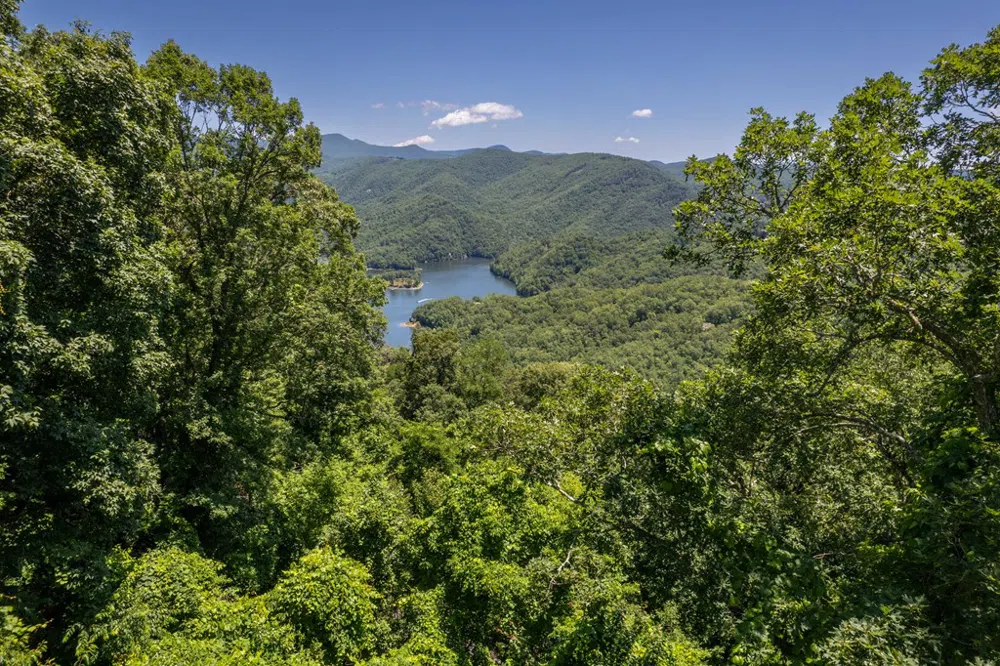 Nannyberry Lane Tuckasegee, NC 28783