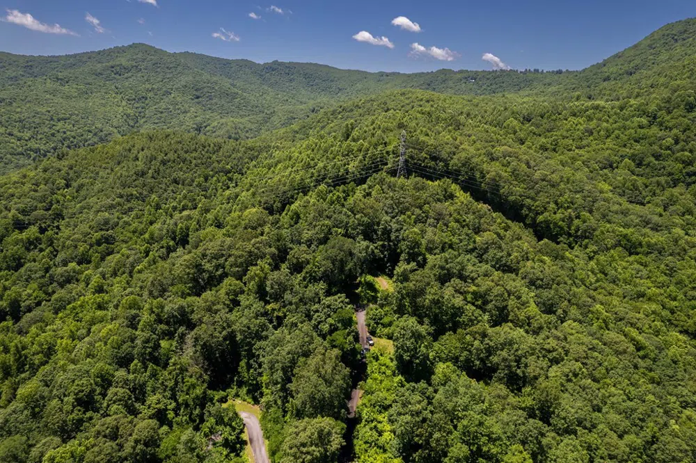 Nannyberry Lane Tuckasegee, NC 28783
