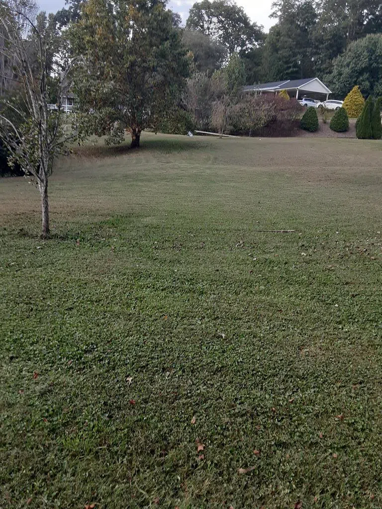 Lt#9 Lenora Ln Sylva, NC 28779