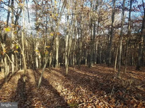 ACORN LANE