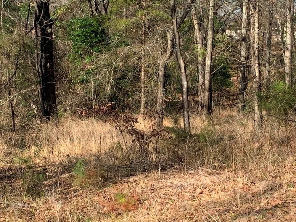 13609 I-20 Lindale, TX 75771