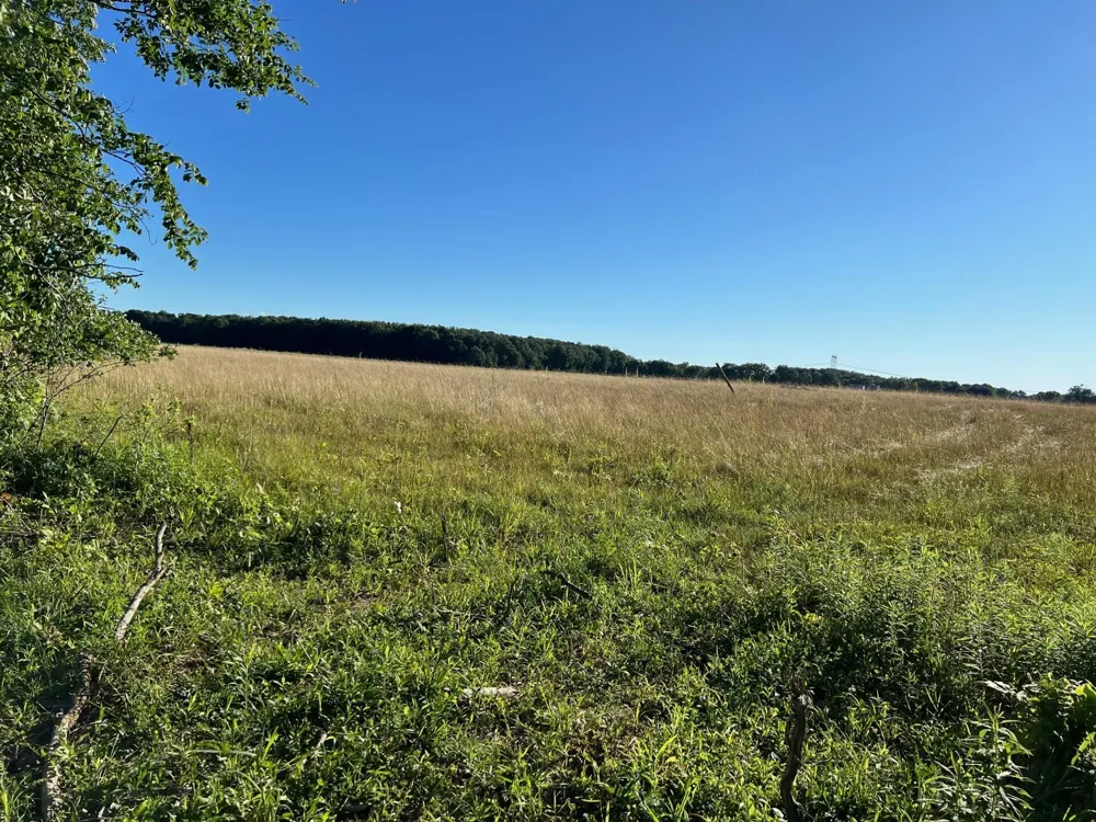 16244 Holden Road #B-3 Galien, MI 49113