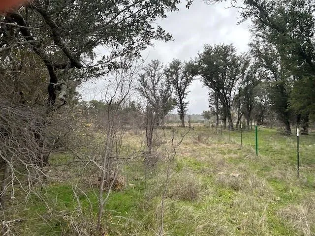 1000 Homestead Drive Rochelle, TX 76872