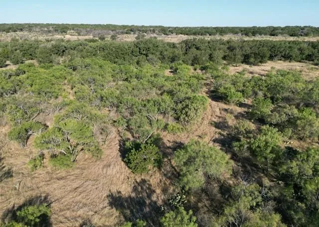 1000 Homestead Drive Rochelle, TX 76872