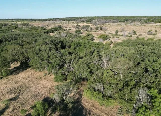 1000 Homestead Drive Rochelle, TX 76872