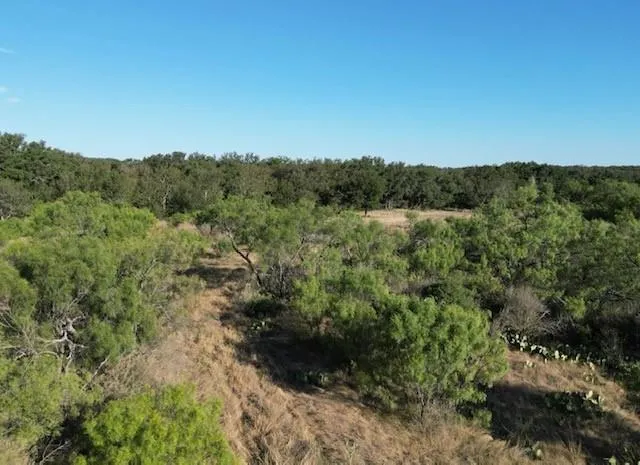 1000 Homestead Drive Rochelle, TX 76872