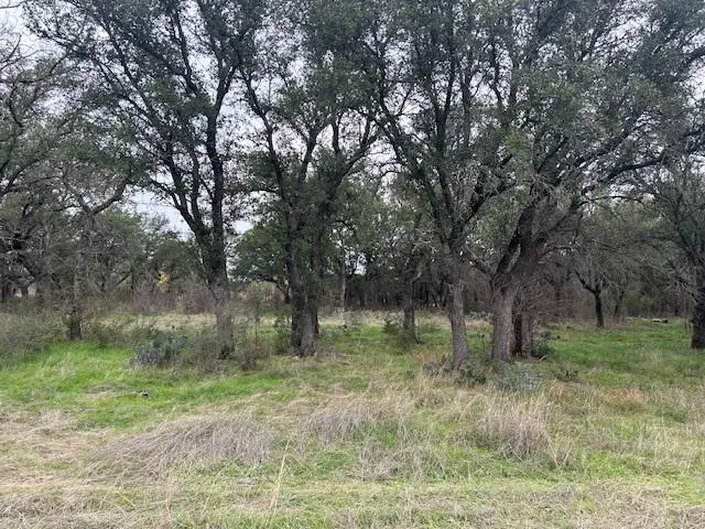 1000 Homestead Drive Rochelle, TX 76872