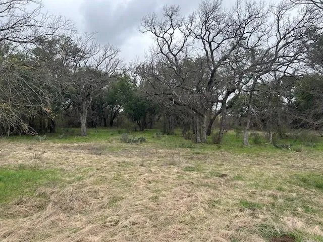 1000 Homestead Drive Rochelle, TX 76872