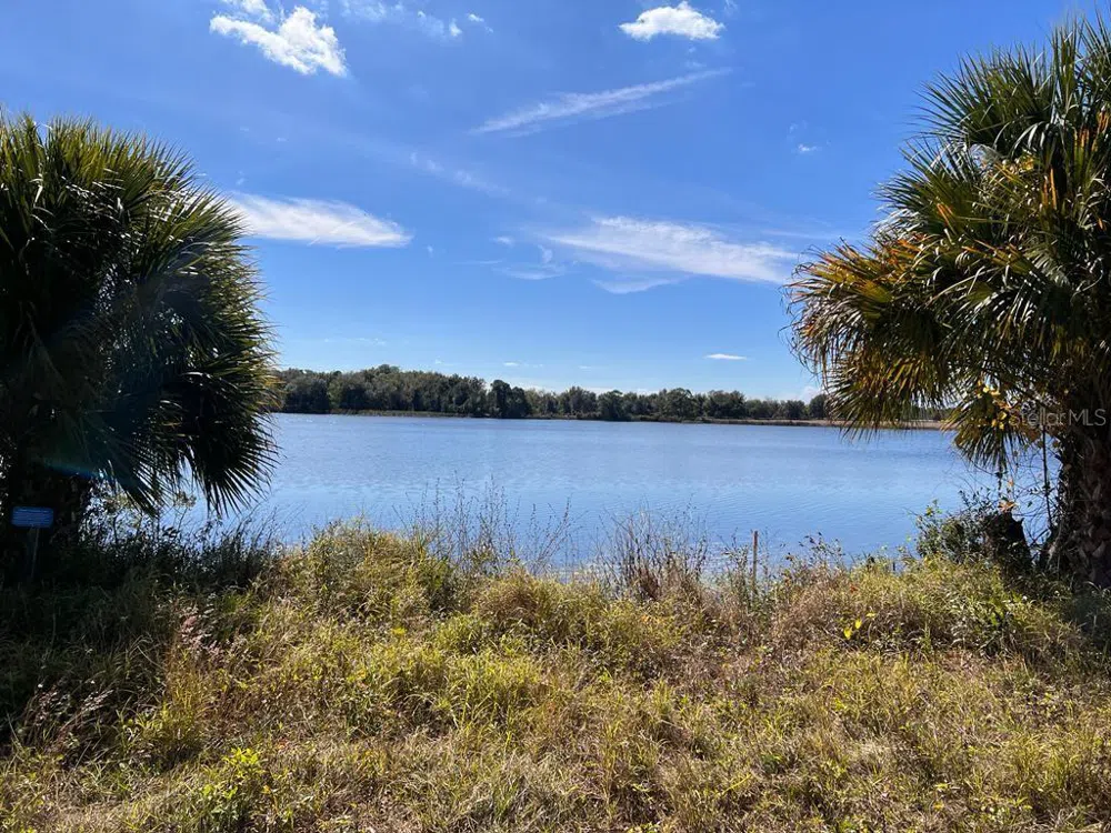 3412 LAKE DIANE RD #67 Tavares, FL 32778