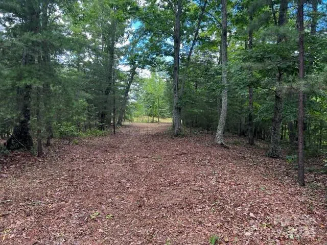 46 Park Lane Mill Spring, NC 28756