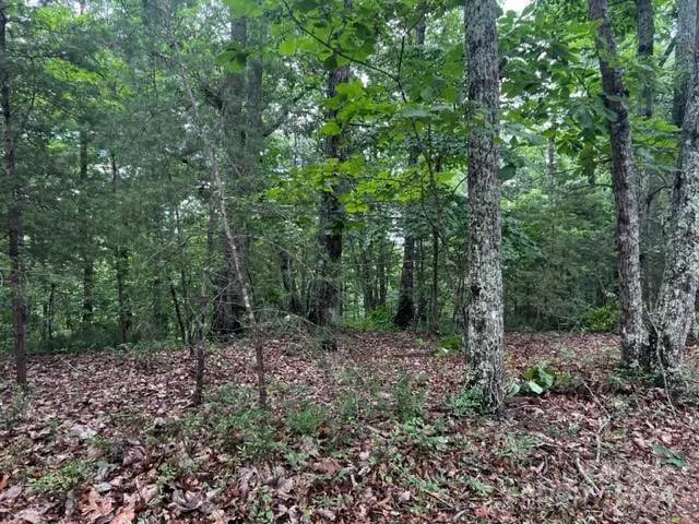 46 Park Lane Mill Spring, NC 28756