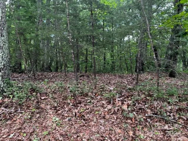 46 Park Lane Mill Spring, NC 28756