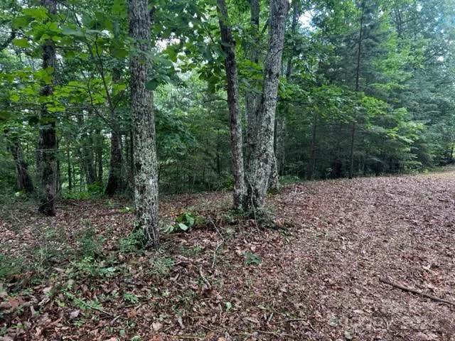 46 Park Lane Mill Spring, NC 28756