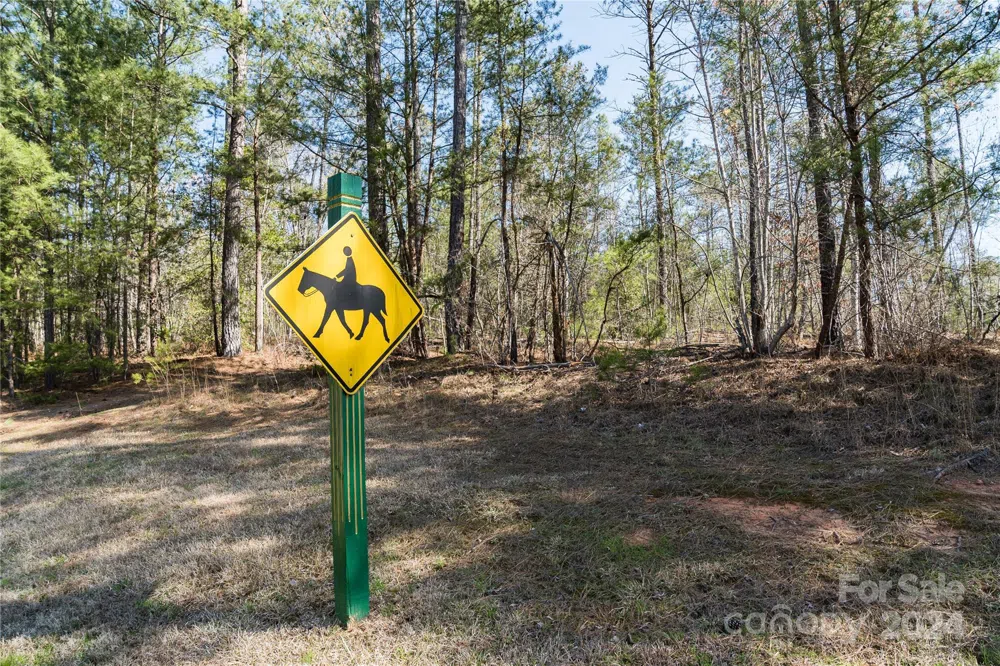46 Park Lane Mill Spring, NC 28756
