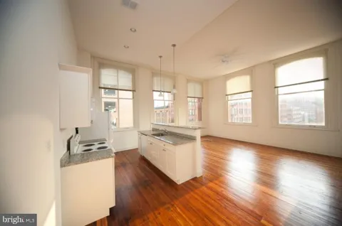 1 S EUTAW STREET #1BR
