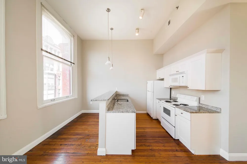 1 S EUTAW STREET #1BR Baltimore, MD 21201