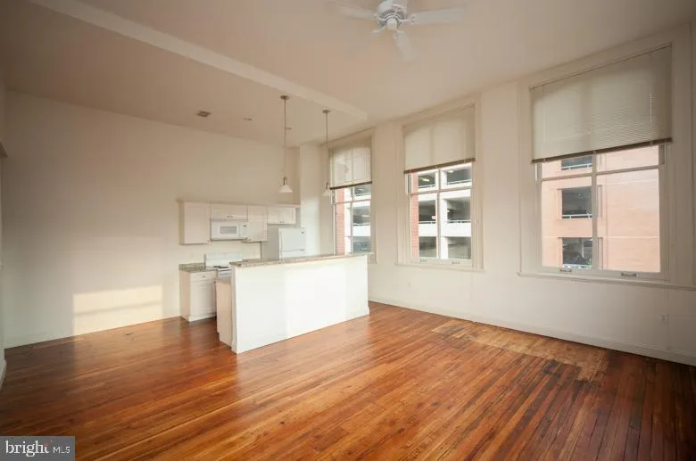 1 S EUTAW STREET #1BR Baltimore, MD 21201