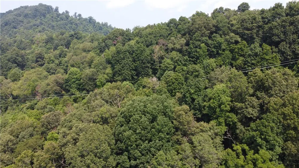 TBD England Road Canton, NC 28716