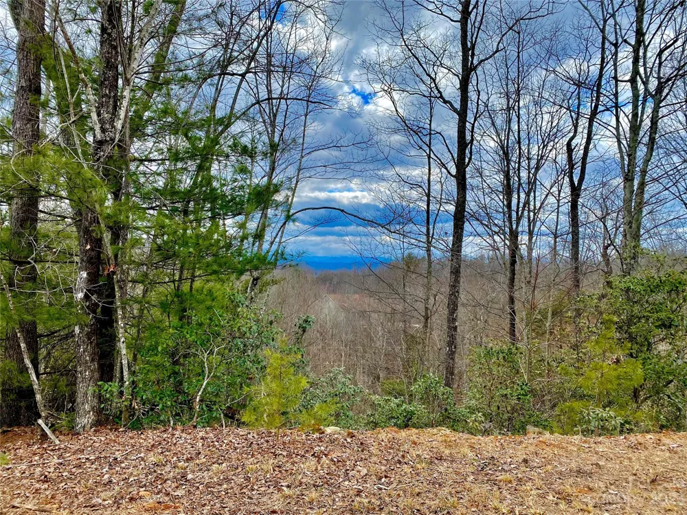 Lot 1 Pinnacle Drive Boomer, NC 28665