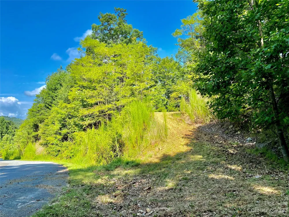 Lot 1 Pinnacle Drive Boomer, NC 28665