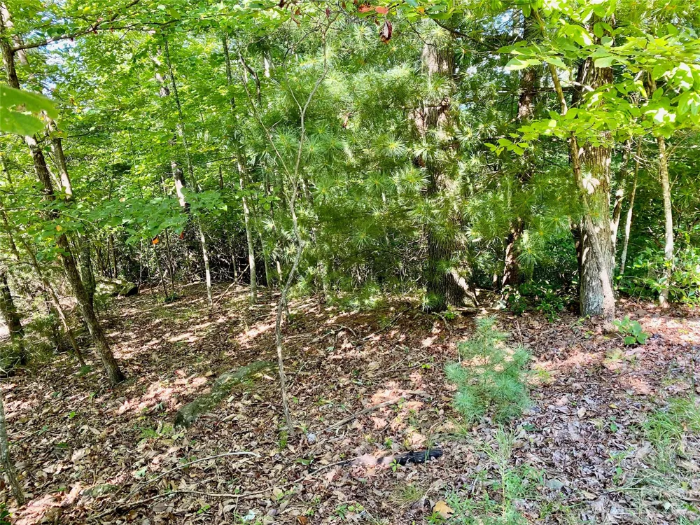 Lot 1 Pinnacle Drive Boomer, NC 28665
