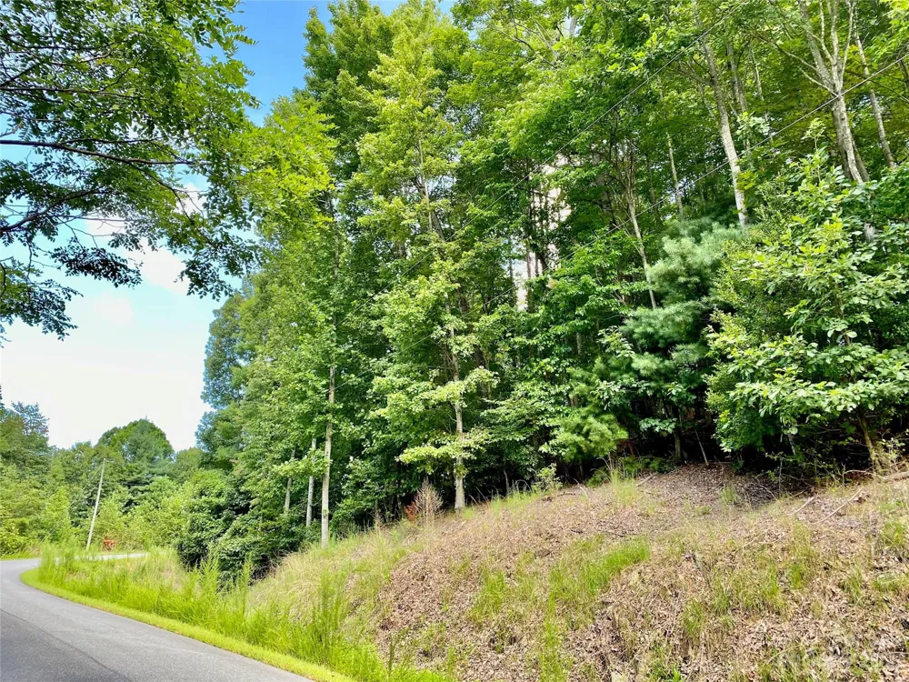 Lot 1 Pinnacle Drive Boomer, NC 28665