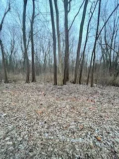 Linden Drive St. Joseph, MI 49085