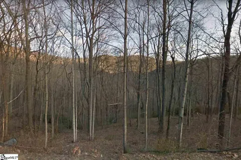 Outcrop Trail #Lot 113