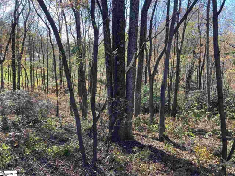 The Cliffs Parkway #Lot 33B