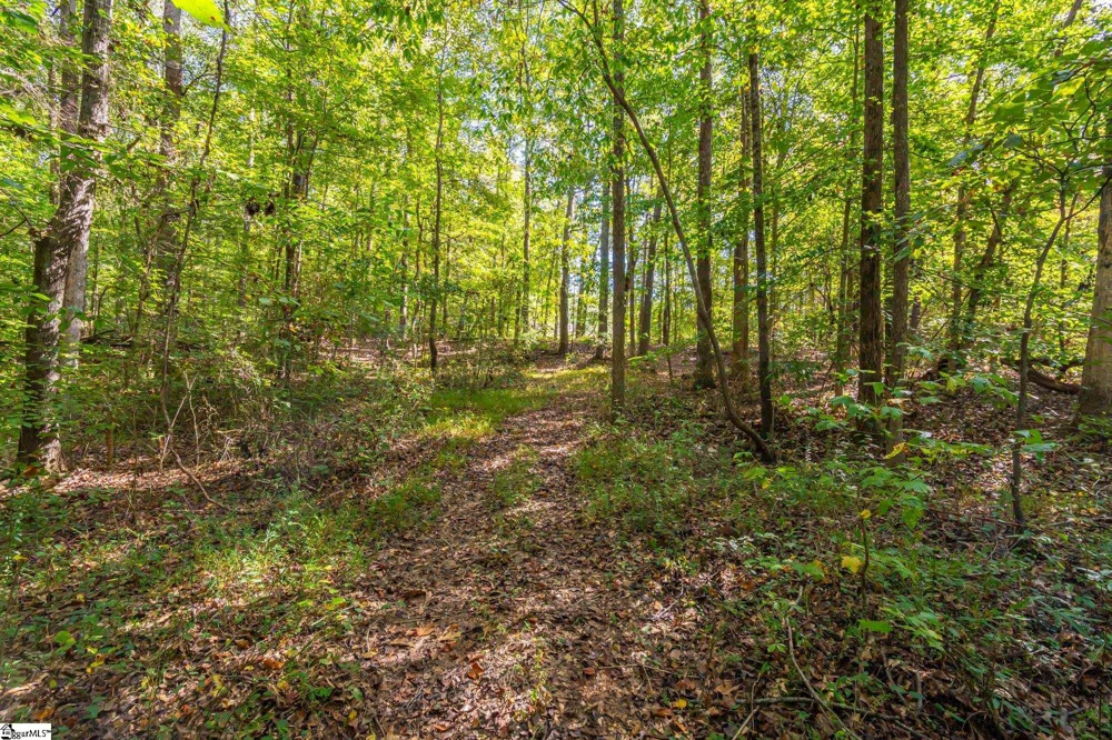 276 Burns Road Greer, SC 29651