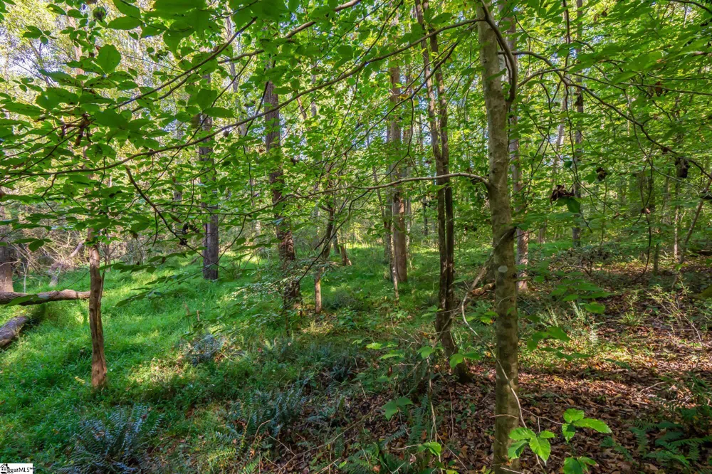 276 Burns Road Greer, SC 29651