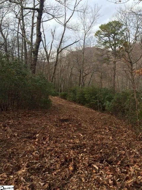 Panther Mountain Road #Lot 4