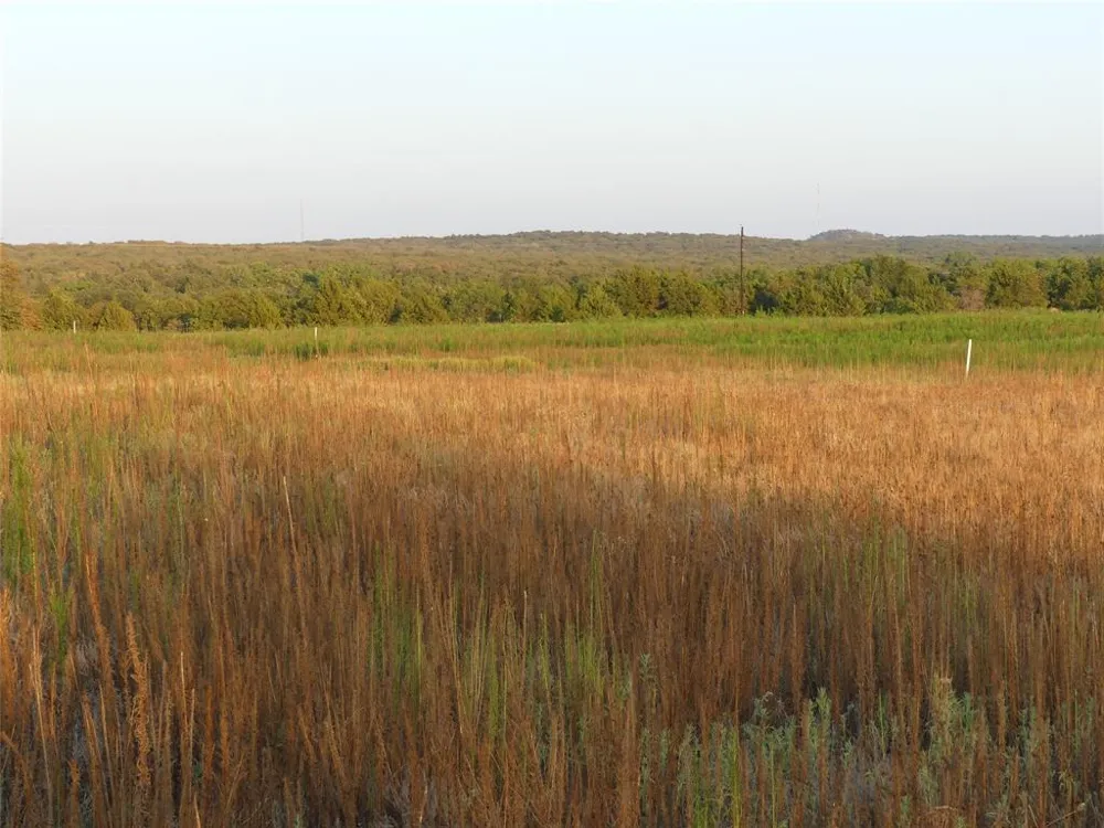 251 Pondview Lane Nocona, TX 76255