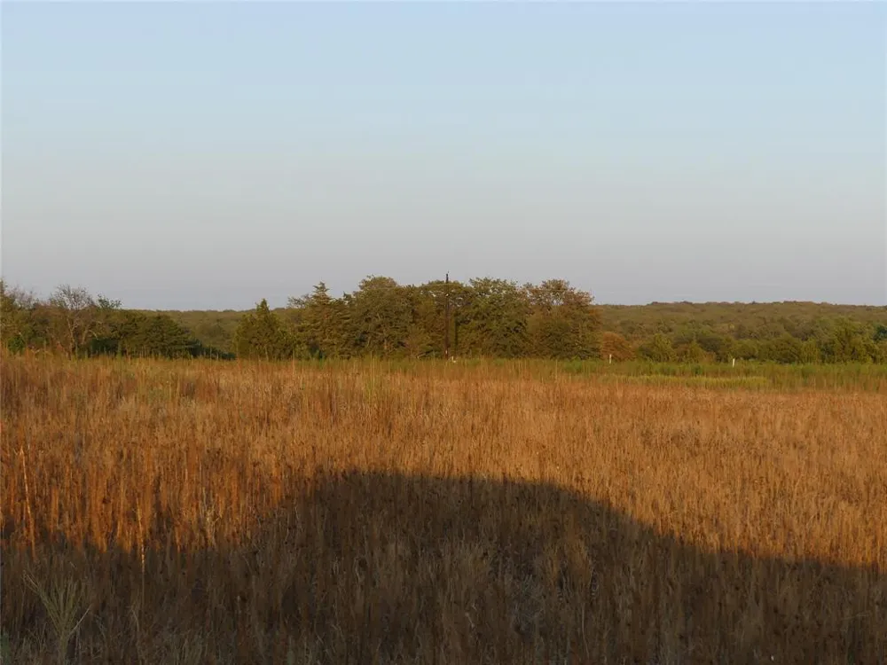 251 Pondview Lane Nocona, TX 76255