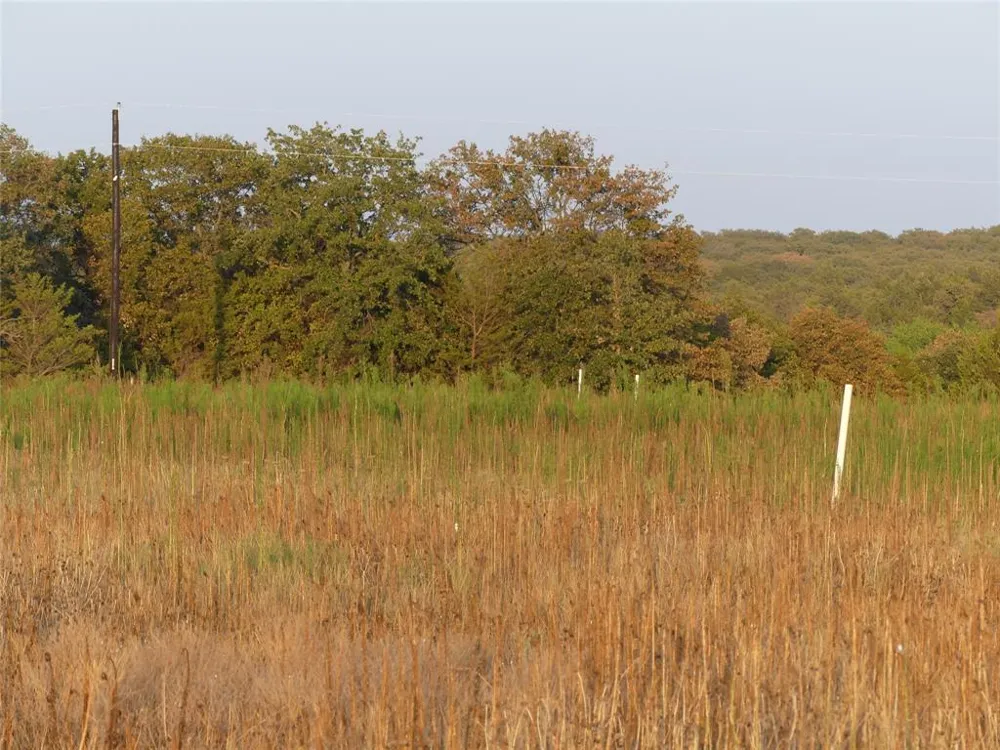 251 Pondview Lane Nocona, TX 76255