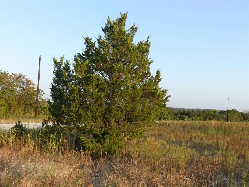 251 Pondview Lane Nocona, TX 76255