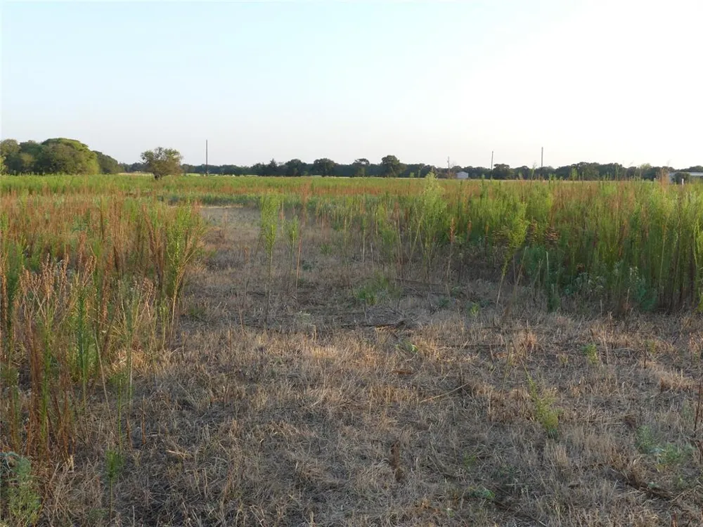 251 Pondview Lane Nocona, TX 76255