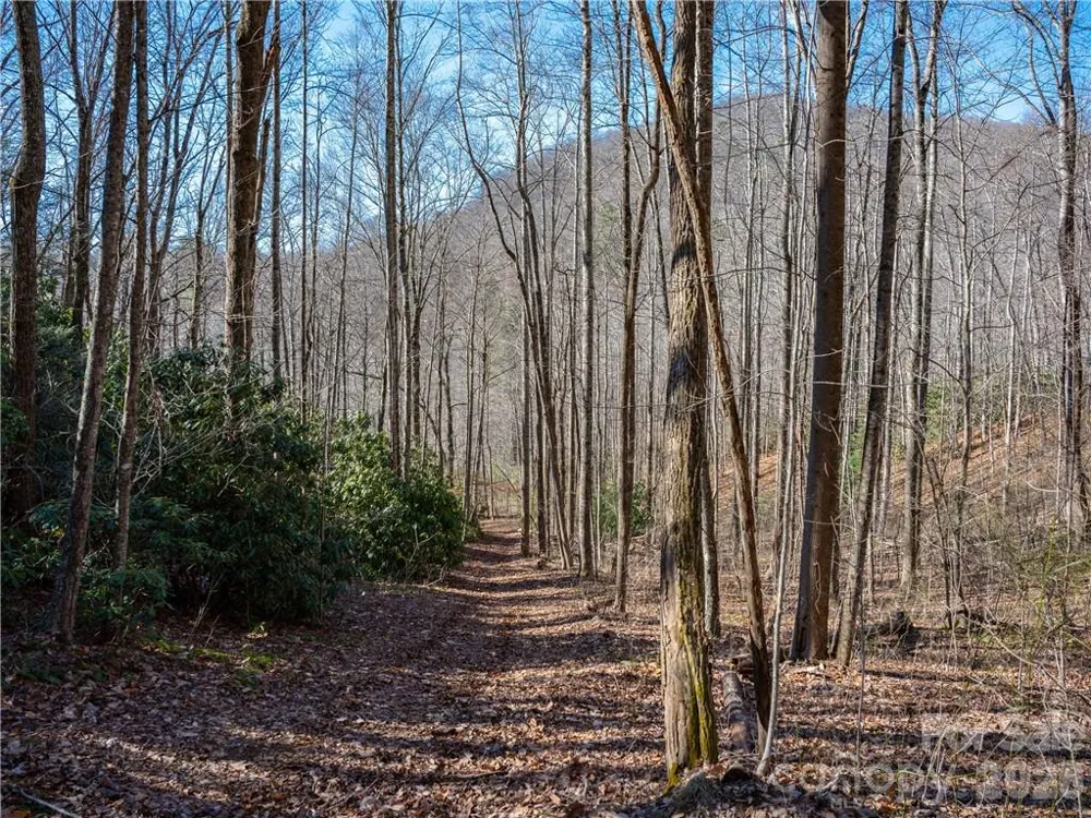 TBD Long Branch Road Swannanoa, NC 28778