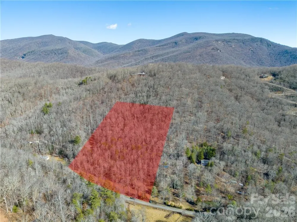 TBD Long Branch Road Swannanoa, NC 28778