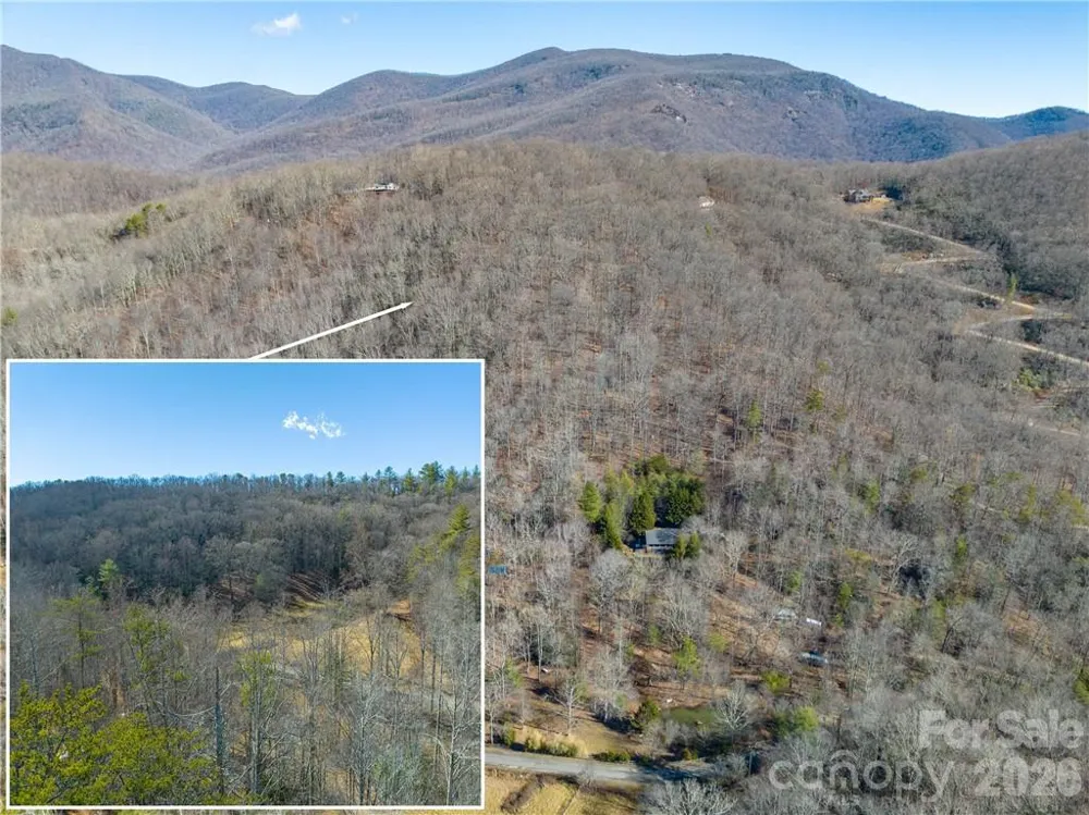 TBD Long Branch Road Swannanoa, NC 28778