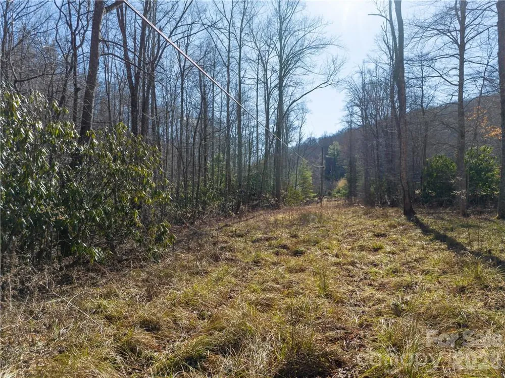 TBD Long Branch Road Swannanoa, NC 28778