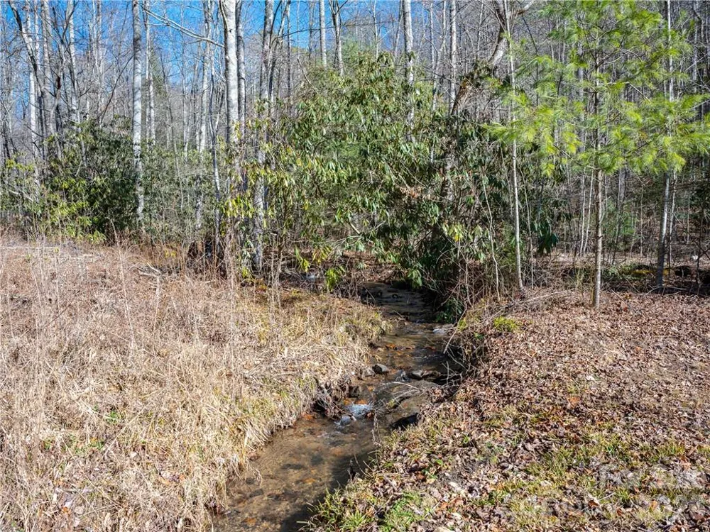 TBD Long Branch Road Swannanoa, NC 28778